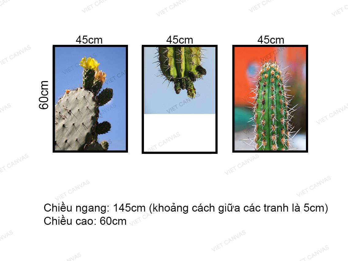 Bộ 3 Tranh Vẻ Đẹp Gai Góc Của Xương Rồng - VZ217.3