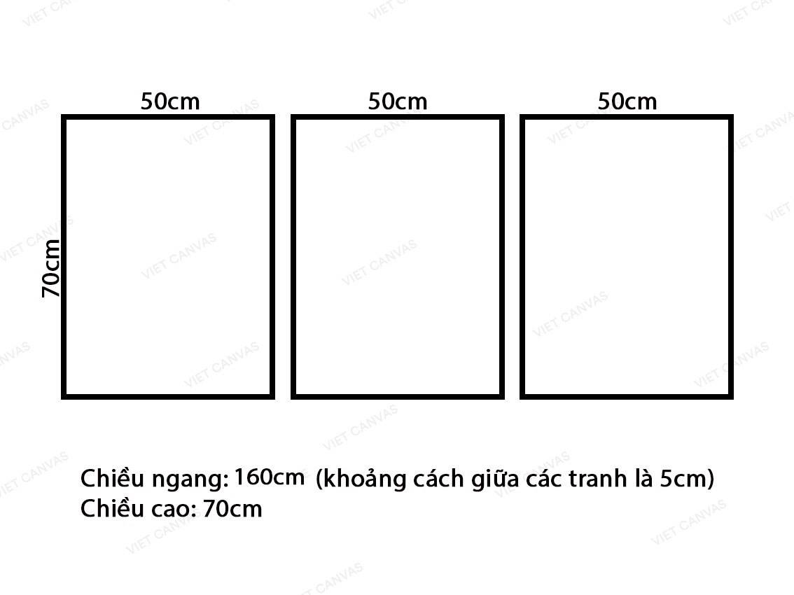 Bộ 3 Tranh Hoa Hồng Ngọt Ngào - VZ597.1