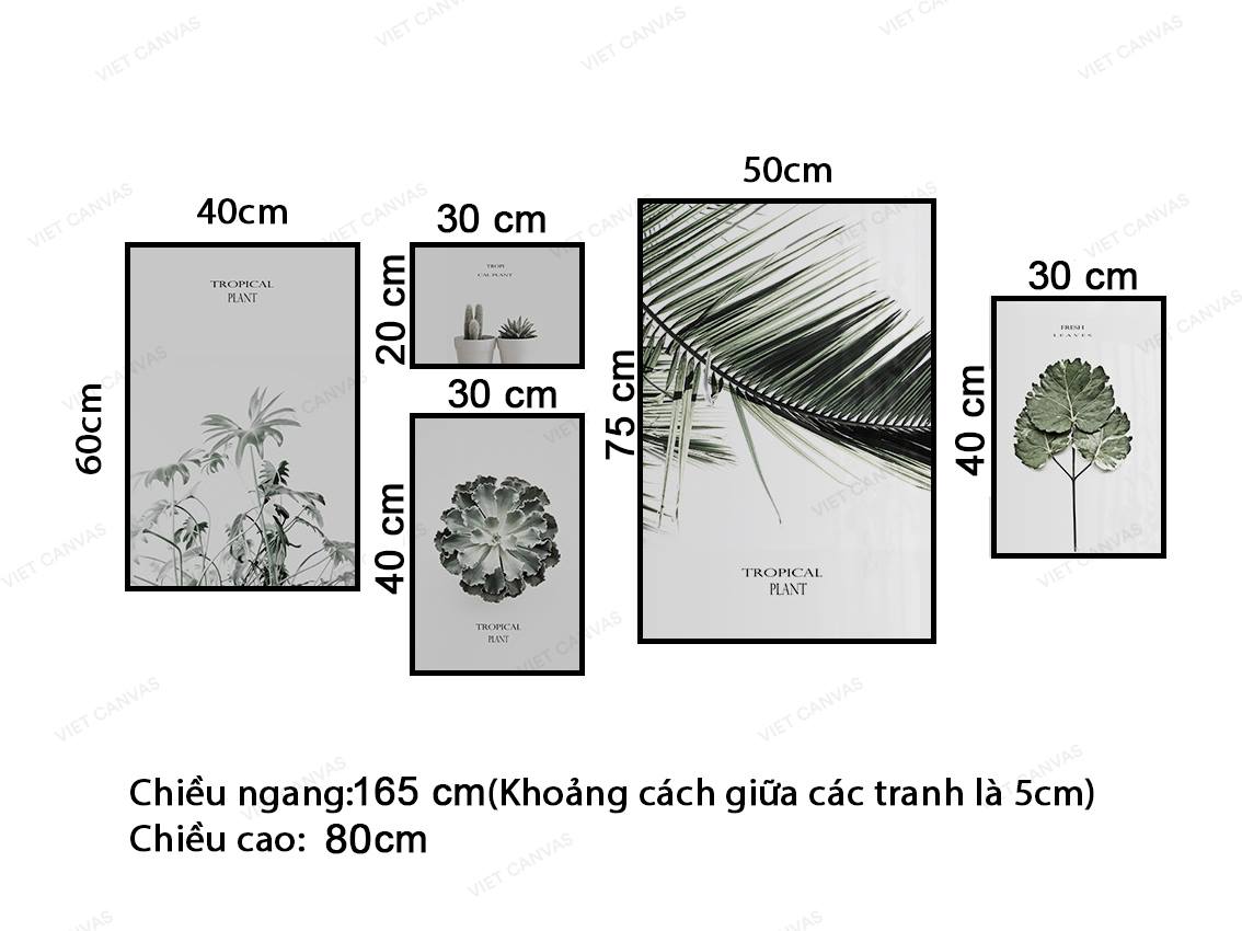 Bộ 5 Tranh Lá Cây Xanh - VY043.1