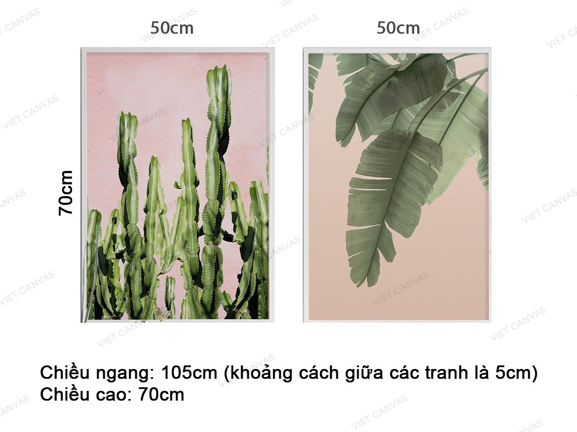 Bộ 2 Tranh Cây Xương Rồng Và Cành Lá Chuối - VZ299.3