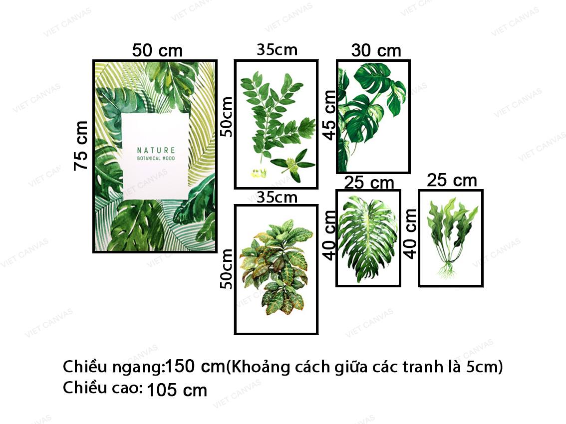 Bộ 6 Tranh Lá Cây Thiên Nhiên - VY042