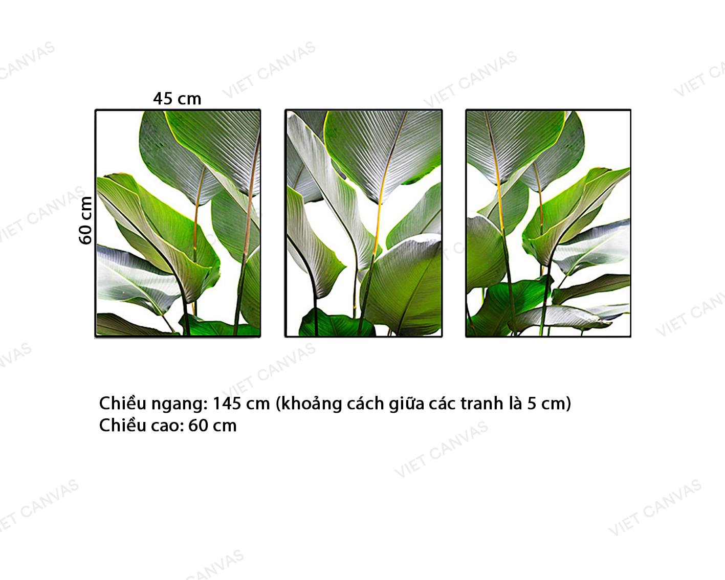 Bộ 3 Tranh Khóm Lá Xanh Ngát - VZ611.1
