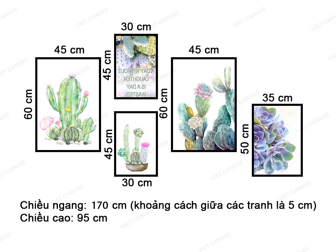 Bộ 5 Tranh Những Bông Hoa Xương Rồng Và Sen Đá - VZ881.2