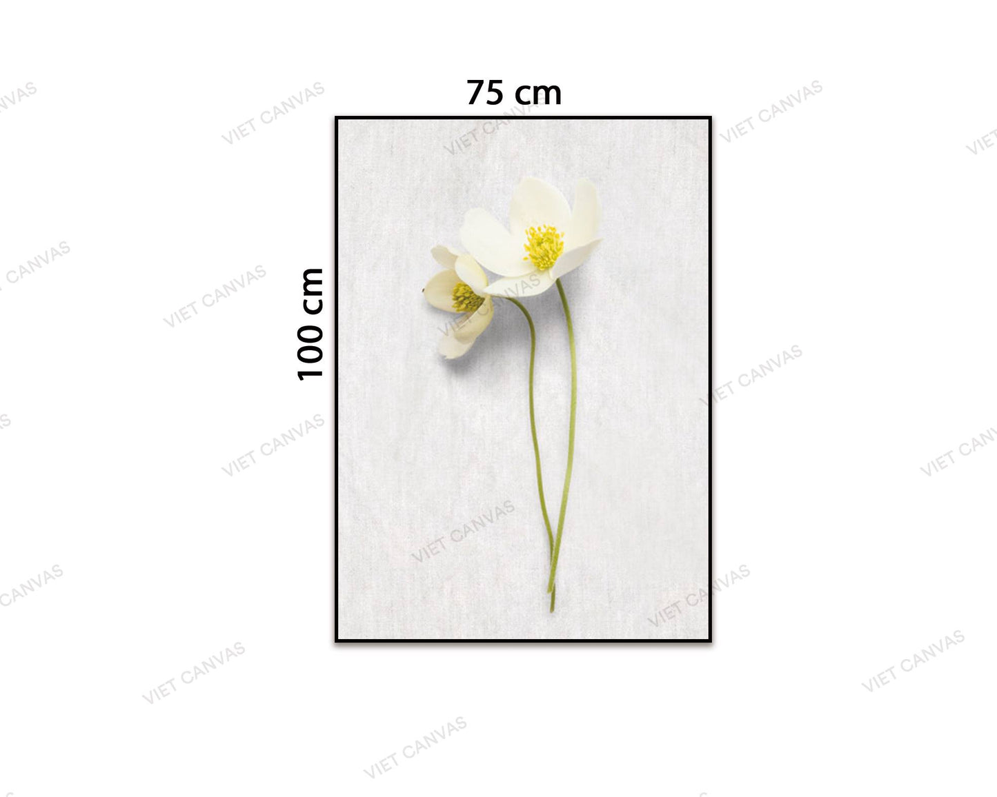 Tranh Nhành Hoa Trắng Tinh Khôi - VZ613.3