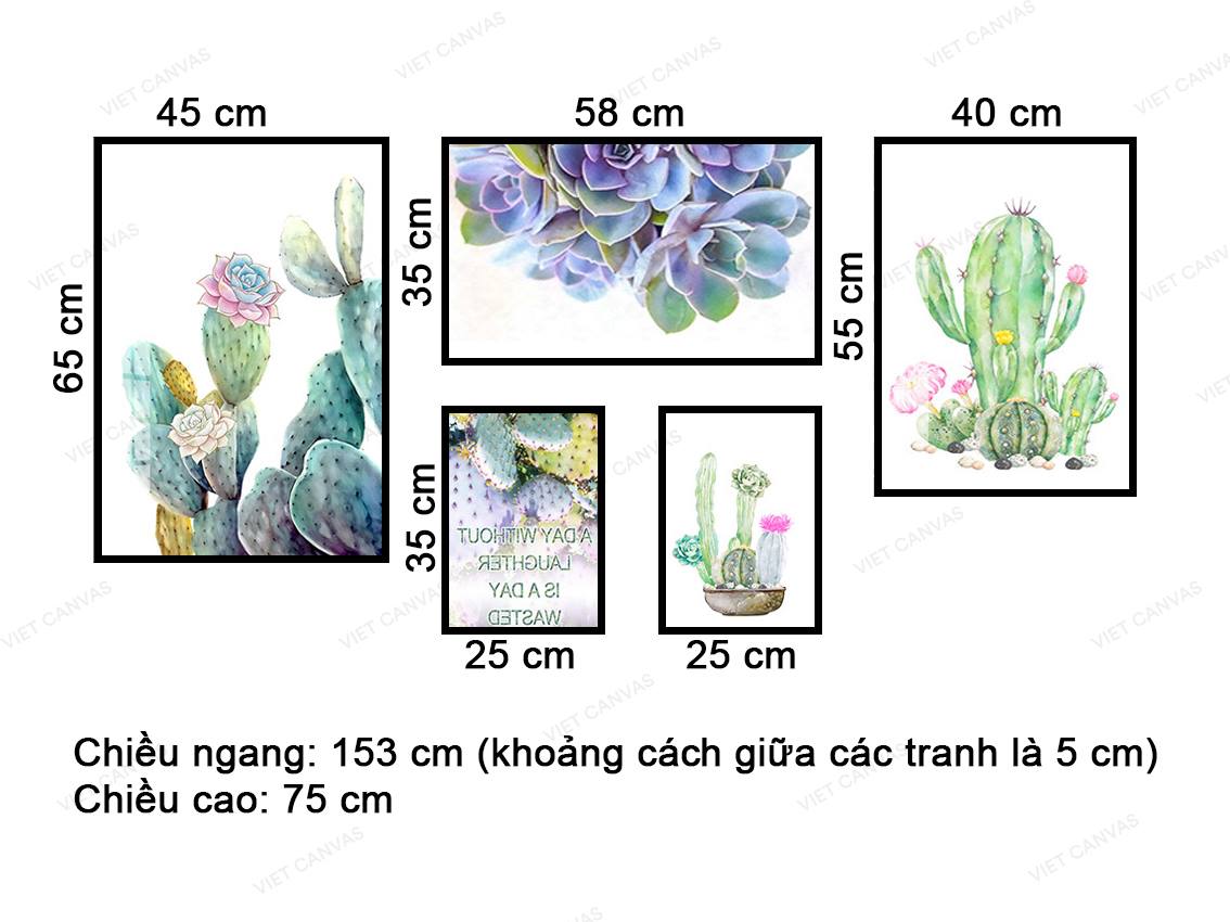 Bộ 5 Tranh Xương Rồng Và Sen Đá Khoe Sắc - VZ881.1