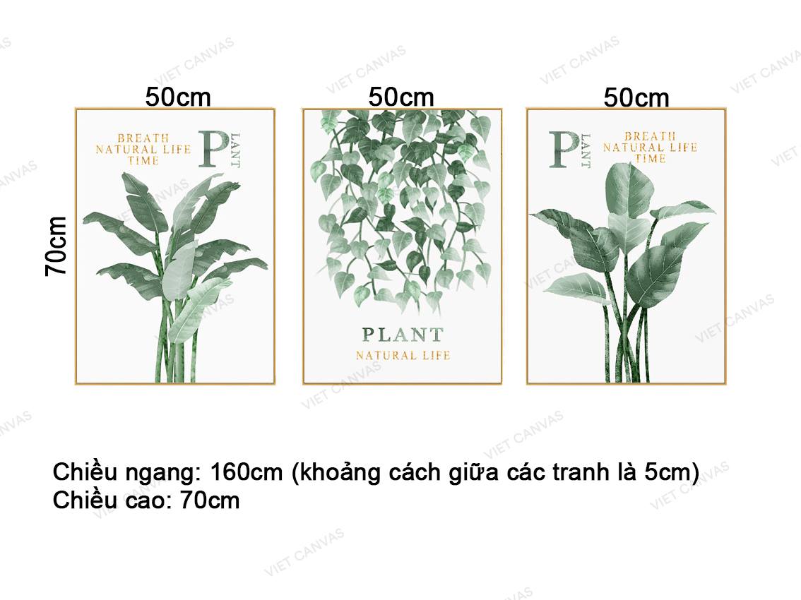 Bộ 3 Tranh Breath Natural Life Time - VZ918.1