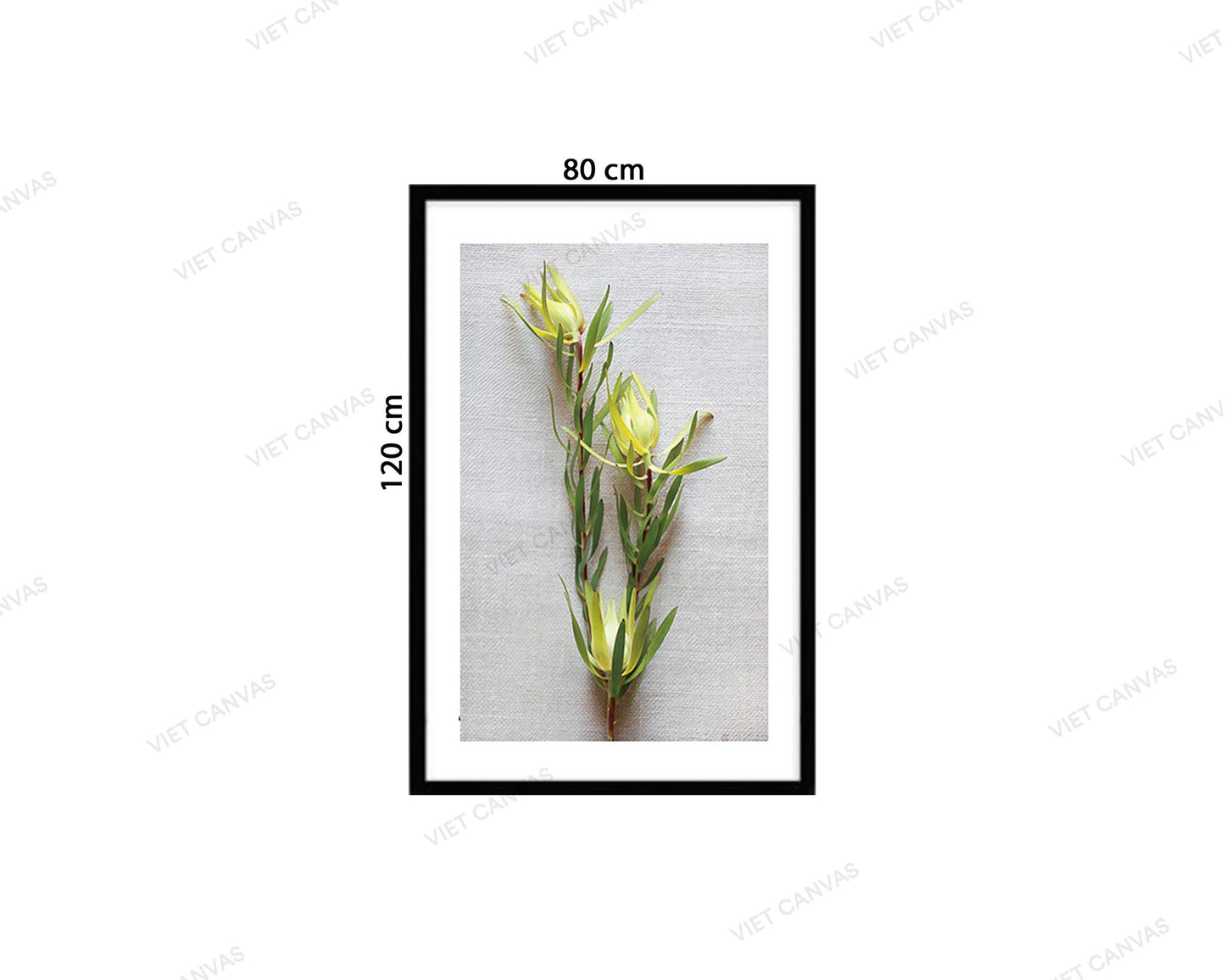 Tranh Đóa Hoa Quỳnh - VZ615.4