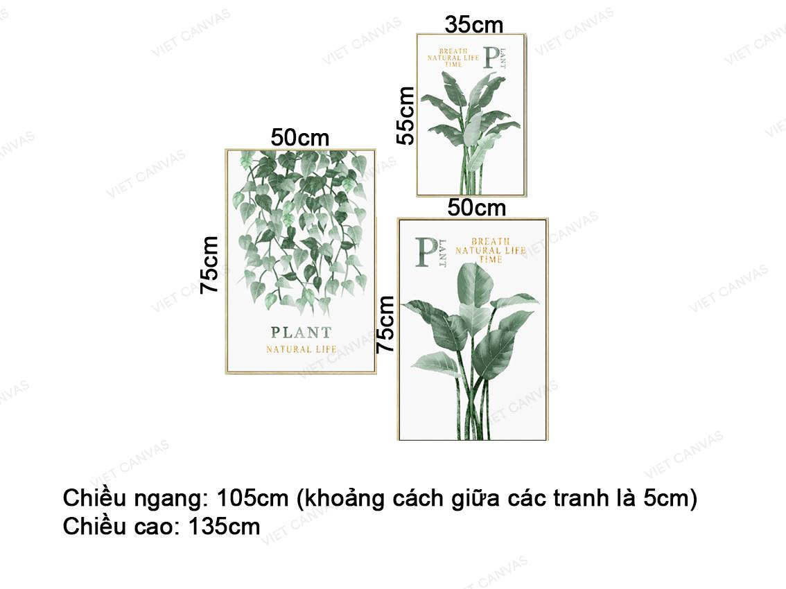 Bộ 3 Tranh Lá Cây Xanh - VZ918.2