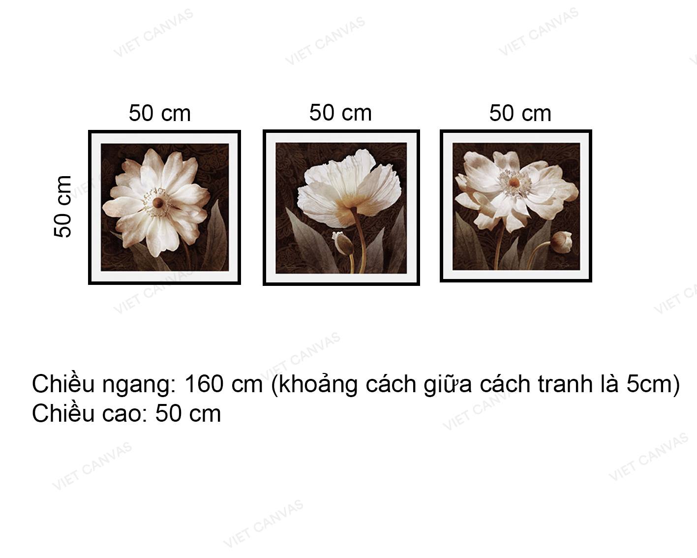 Bộ 3 Tranh Cánh Hoa Xinh - VZ884.3