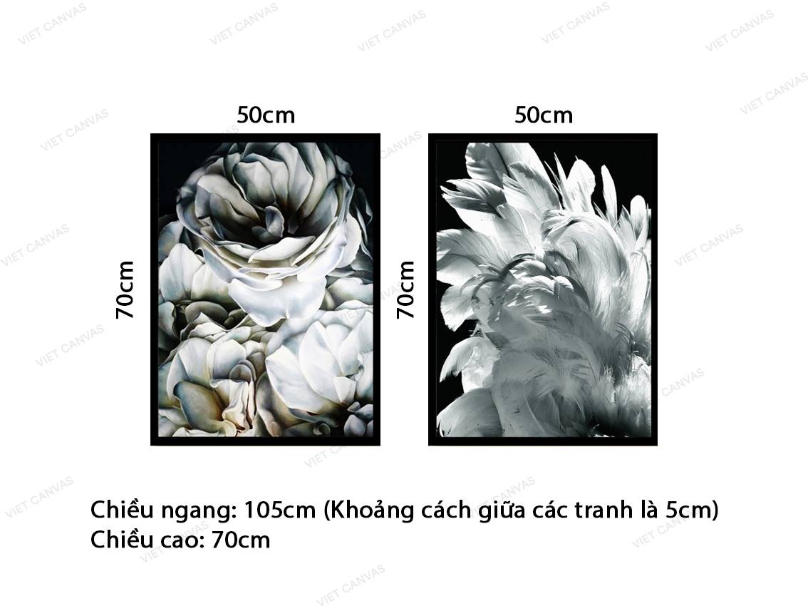 Bộ 2 Tranh Hoa Nở Và Lông Vũ Ấn Tượng - VY016.2