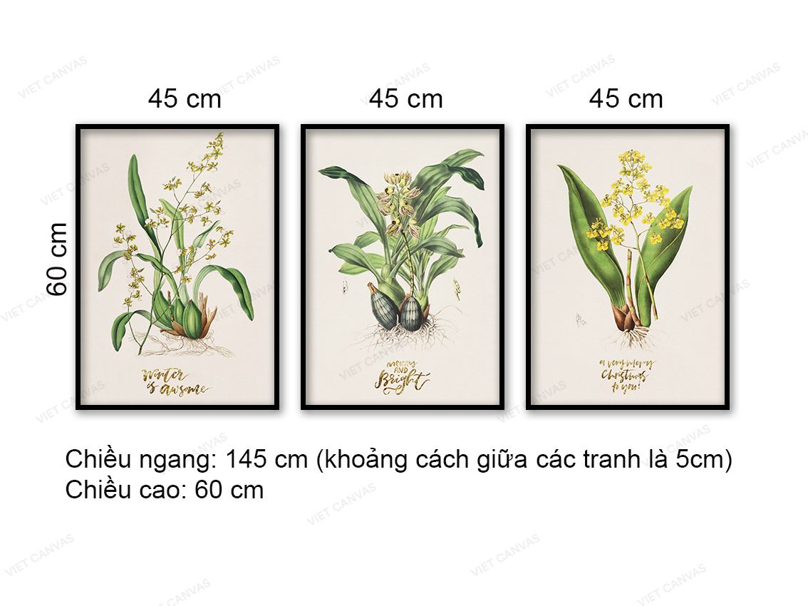 Bộ 3 Tranh Hoa Và Lá - VD279