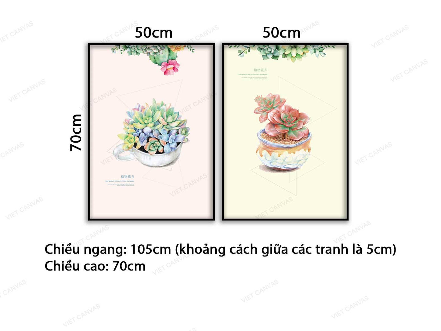 Bộ 2 Tranh Chậu Sen Đá Đầy Màu Sắc - VC778