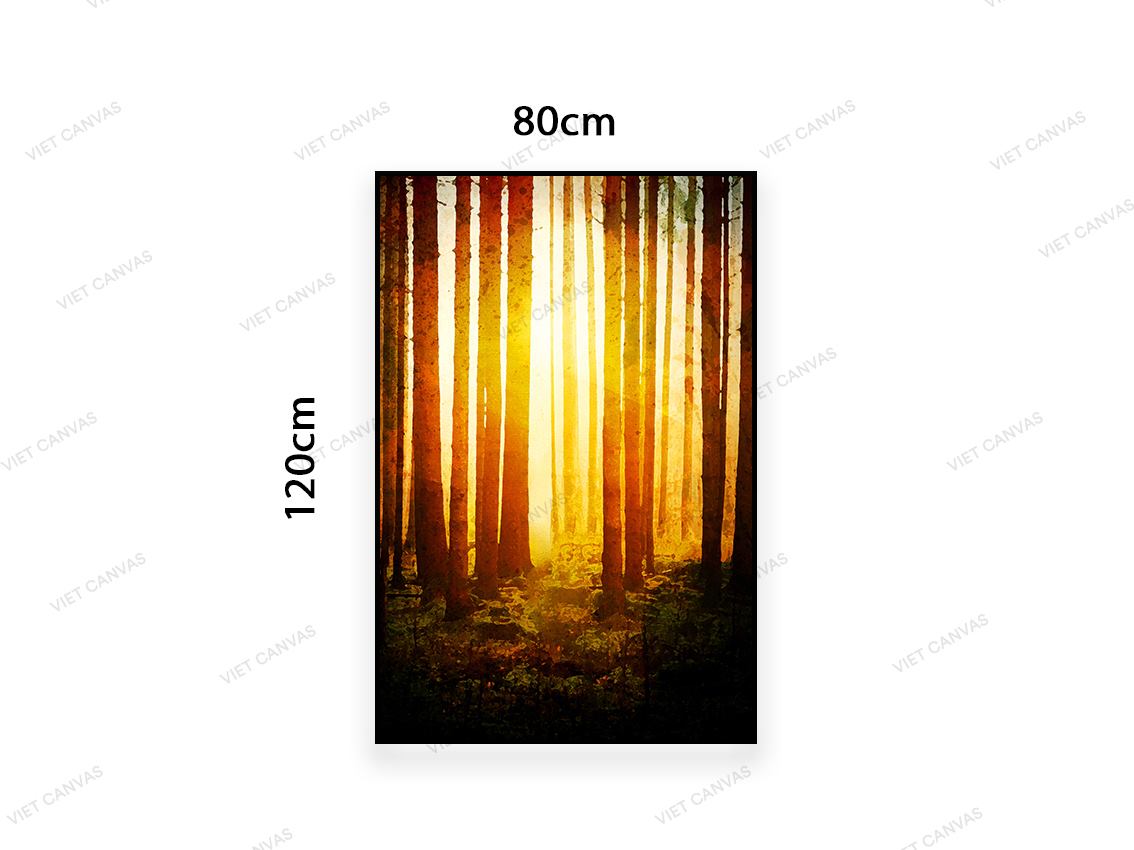 Tranh Ánh Nắng Rực Rỡ - VC899