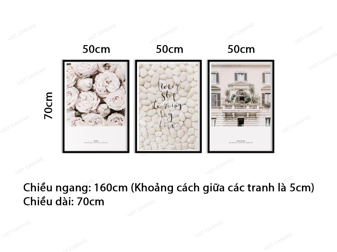 Bộ 3 Tranh Hoa Và Ngôi Nhà Nền Trắng - VY052.1