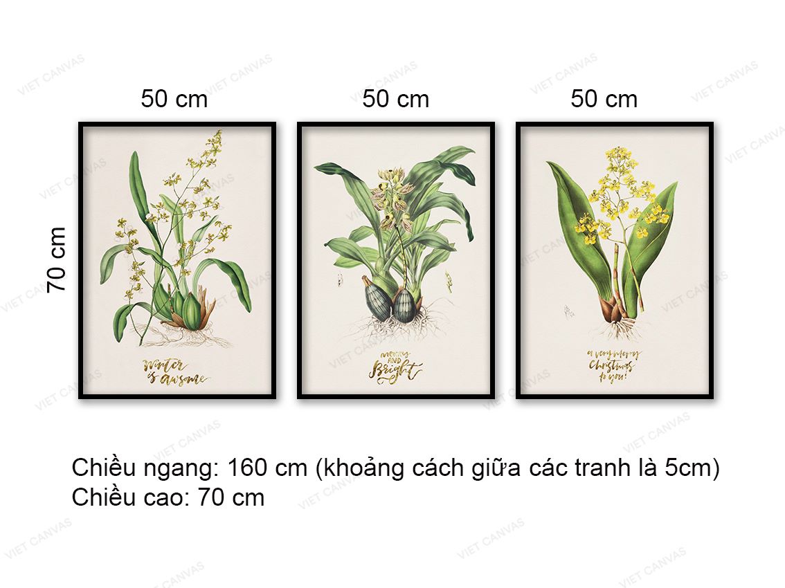 Bộ 3 Tranh Hoa Và Lá - VD279