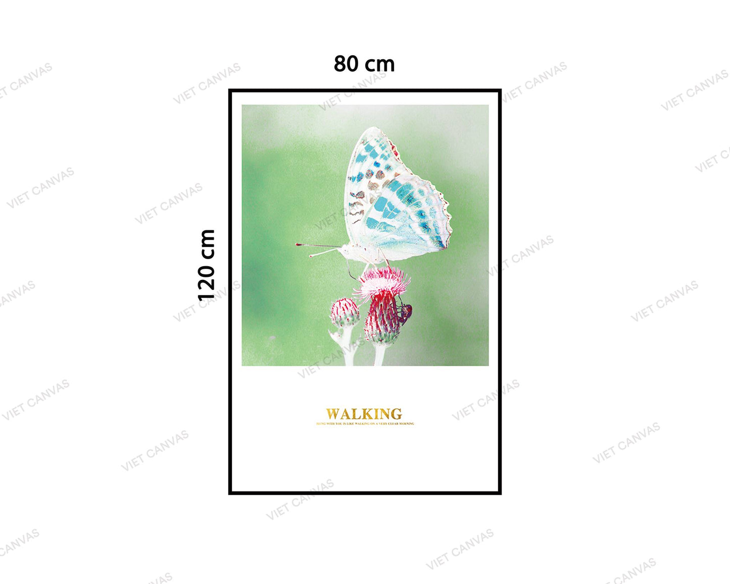Tranh Con Bướm Ấn Tượng - VZ298.4