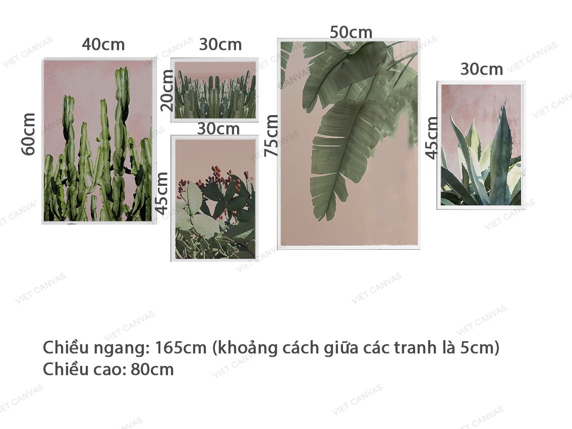 Bộ 5 Tranh Xương Rồng, Lô Hội Và Tàu Lá Chuối - VZ299.1