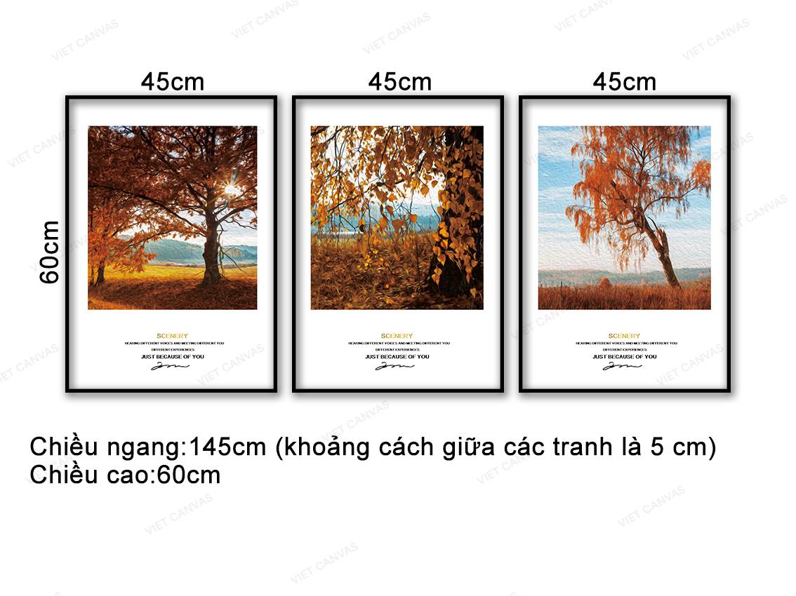 Bộ 3 Tranh Mùa Lá Vàng - VD362