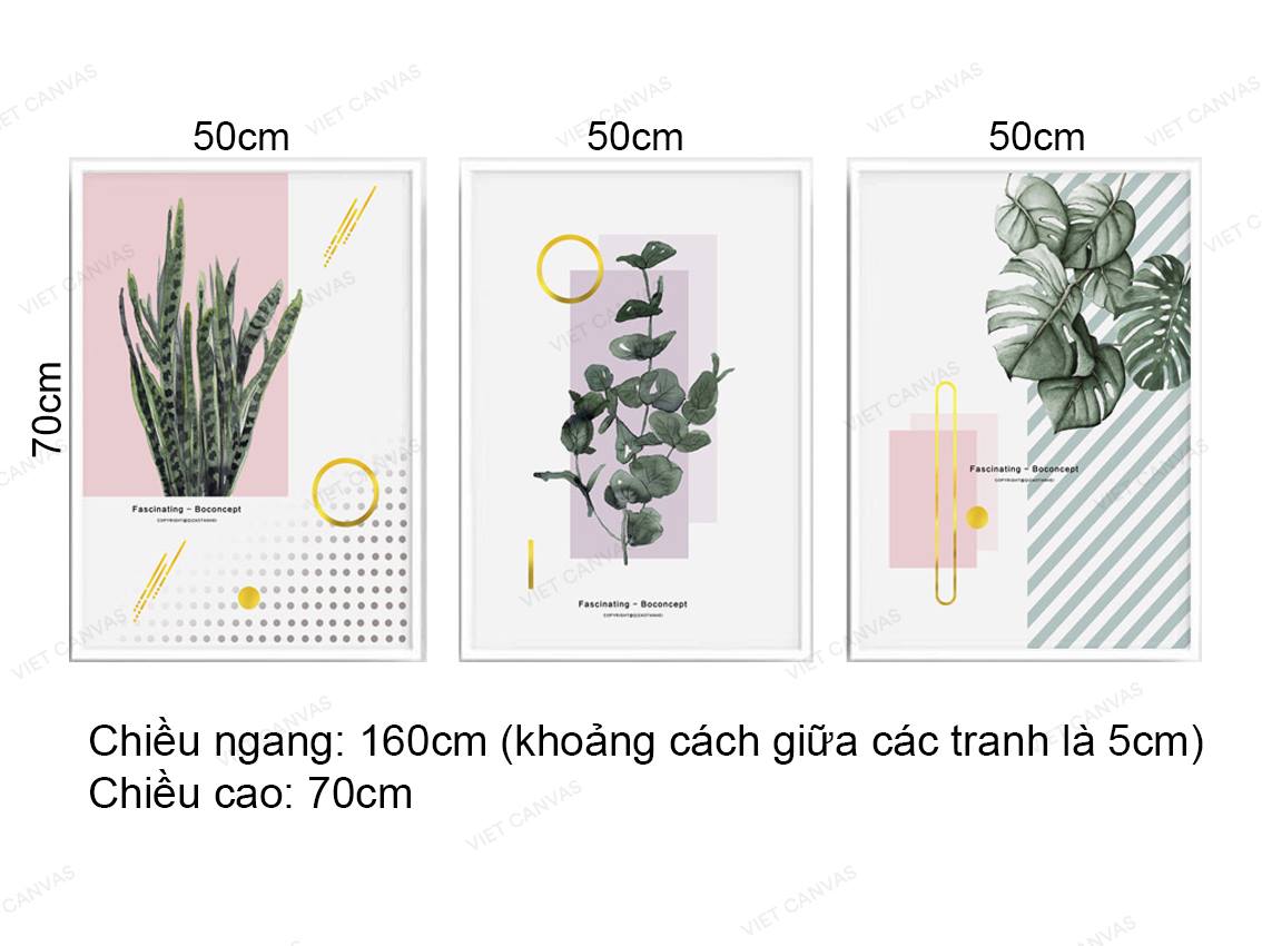 Bộ 3 Tranh Cây Và Lá - VZ031.2
