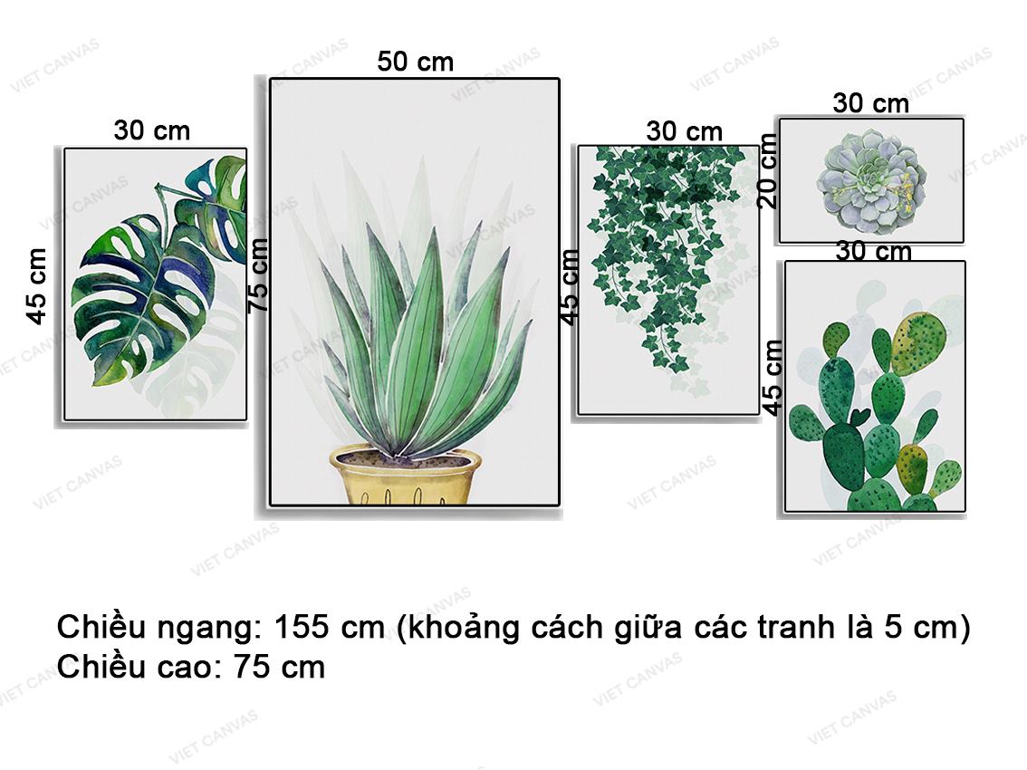 Bộ 5 Tranh Lá Cây Và Xương Rồng - VZ219.4