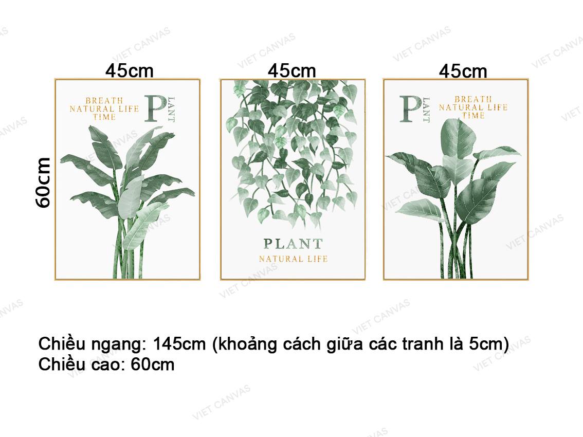 Bộ 3 Tranh Breath Natural Life Time - VZ918.1