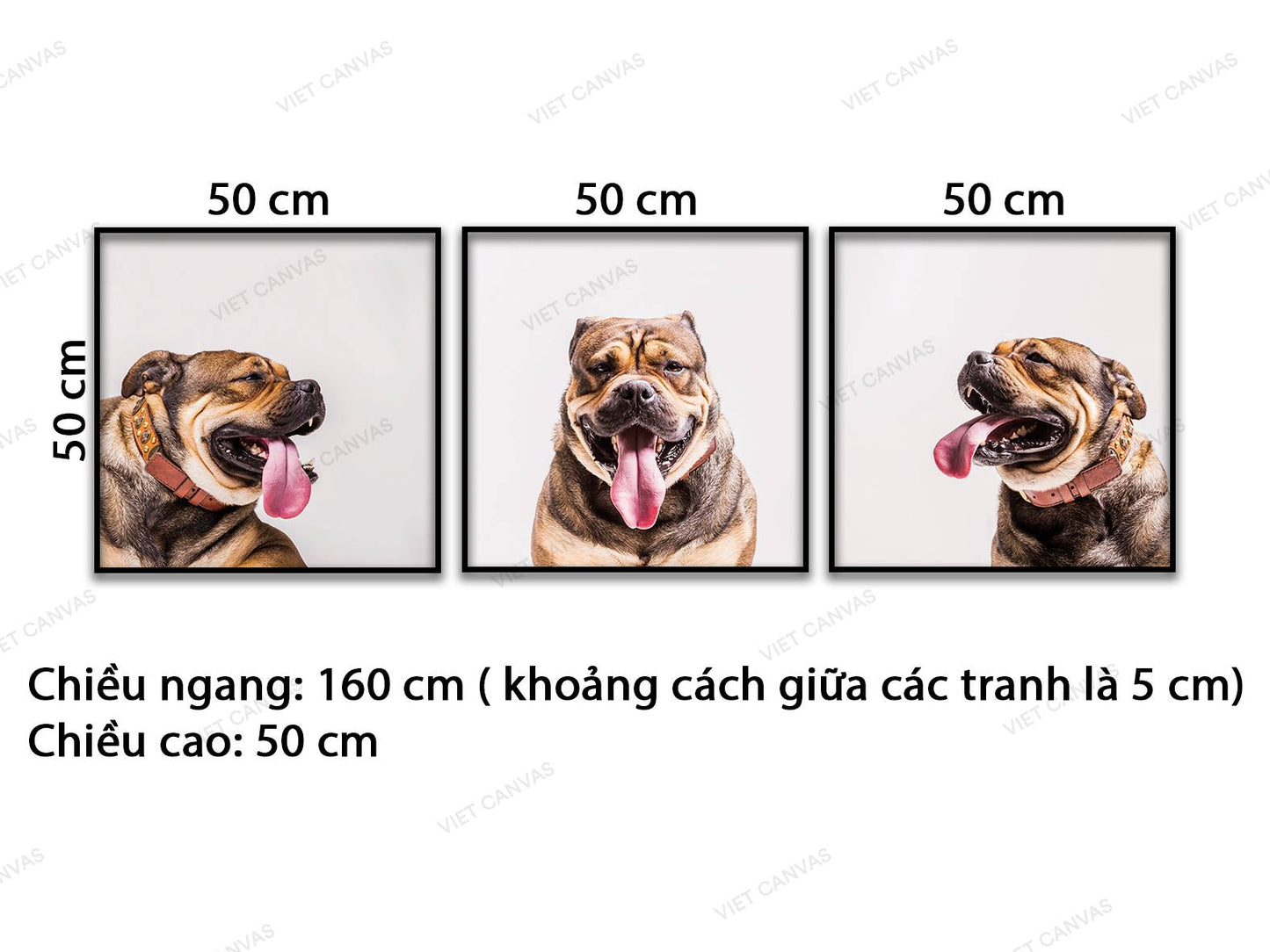 Bộ 3 Tranh Chân Dung Chó Pug - VD250