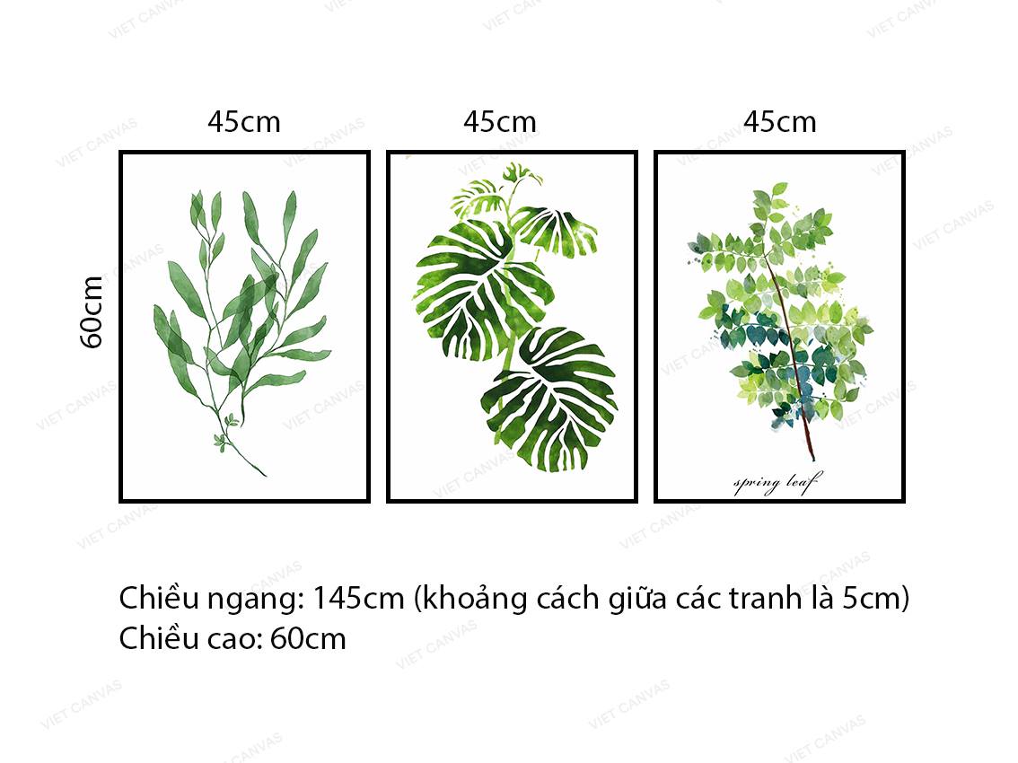 Bộ 3 Tranh Cây Lá Đơn Giản - VC590
