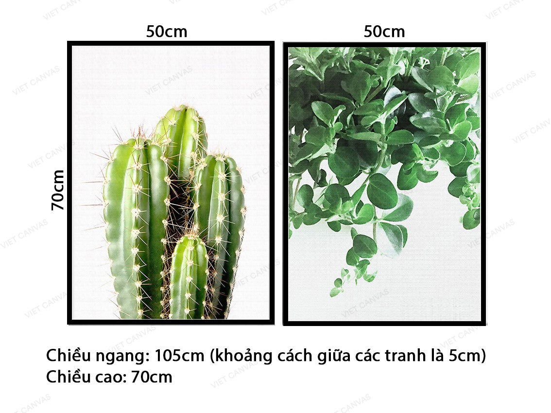 Bộ 2 Tranh Lá Và Cây Xương Rồng - vz202.3