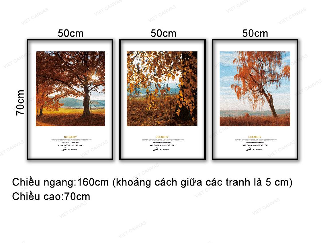 Bộ 3 Tranh Mùa Lá Vàng - VD362