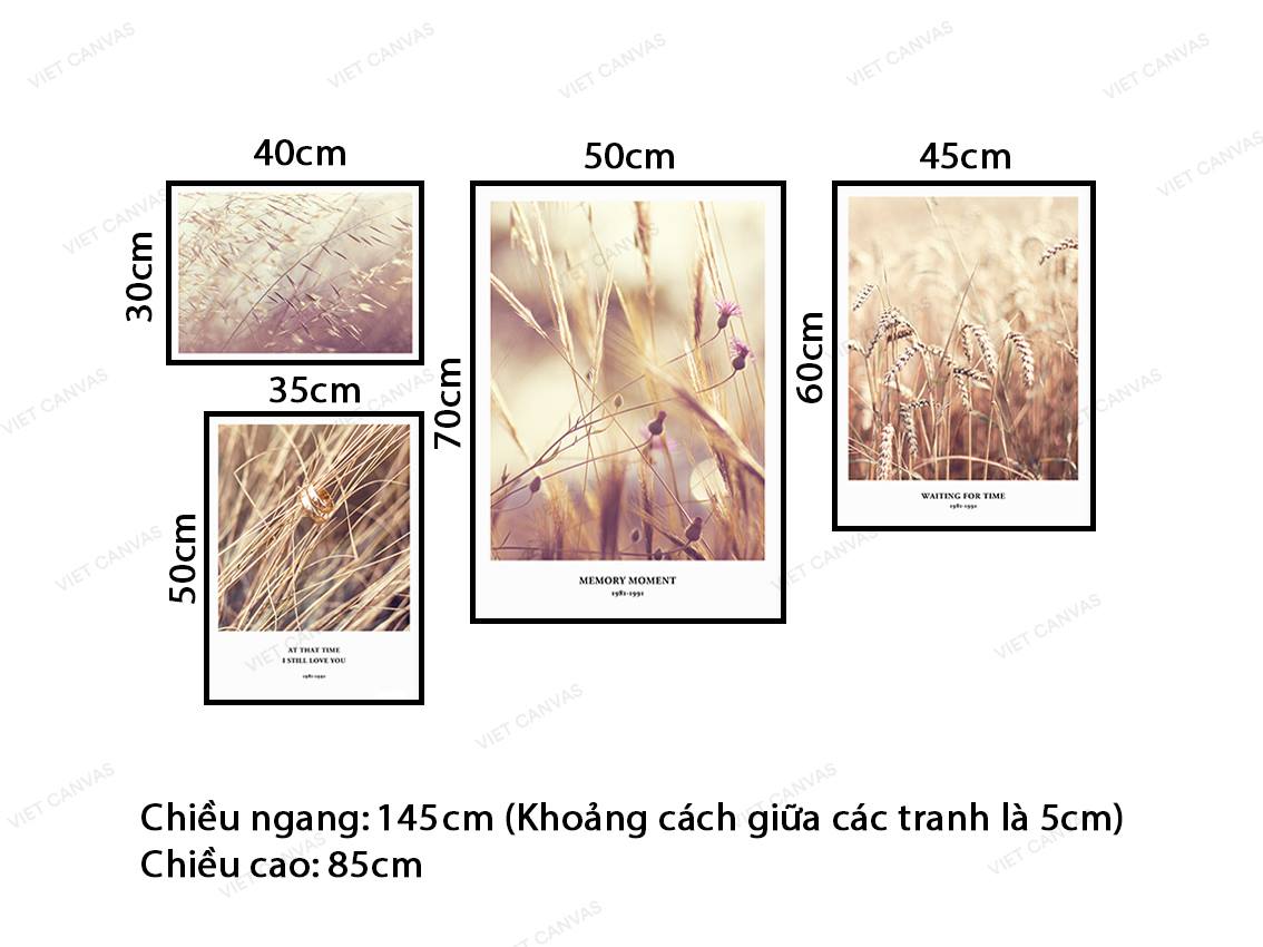Bộ 4 Tranh Cánh Đồng Cỏ - VY051.2
