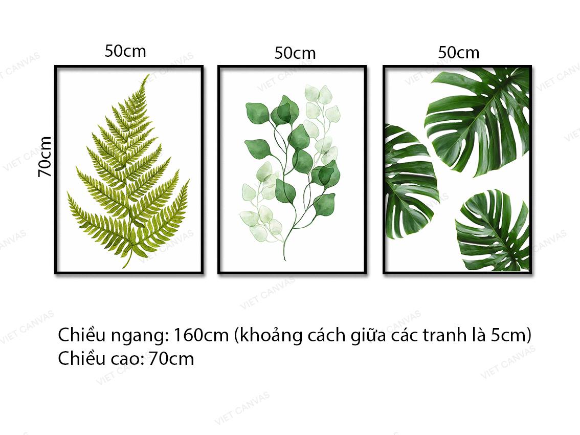 Bộ 3 Tranh Lá Cây Đa Dạng - VB719