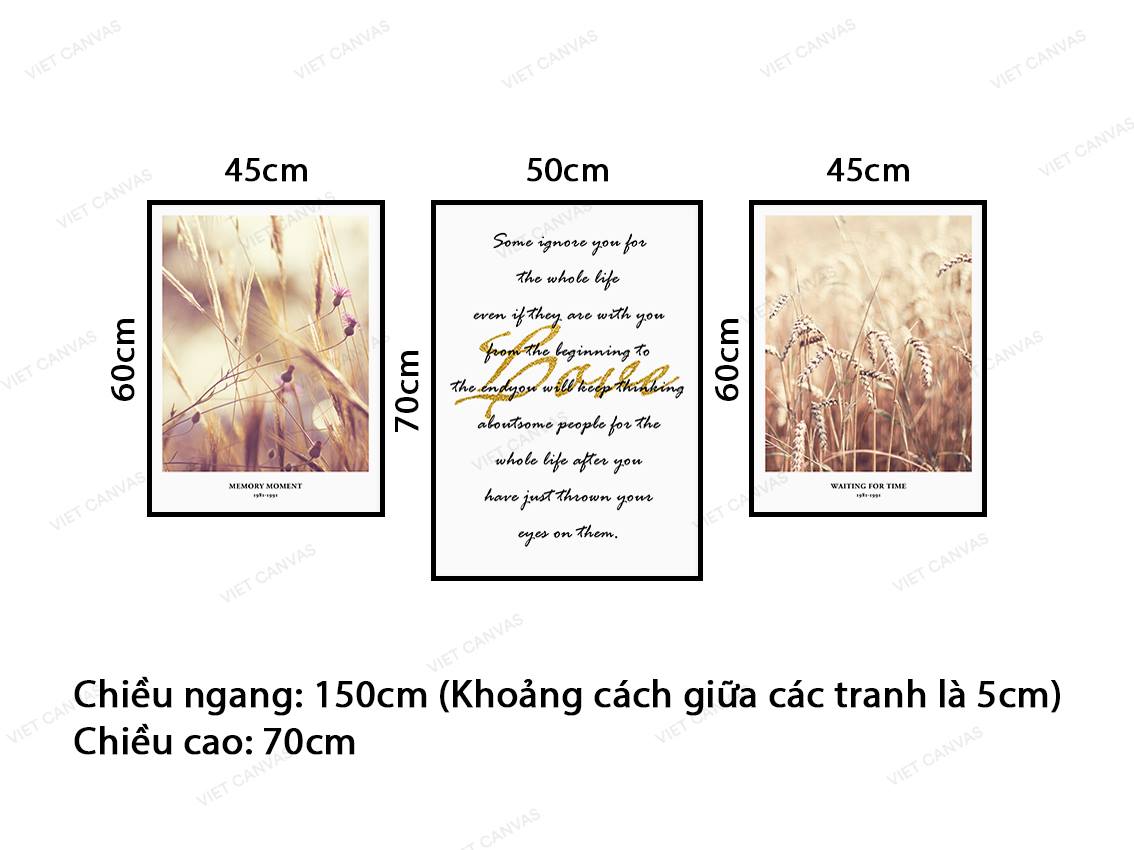Bộ 3 Tranh Cánh Đồng Cỏ Và Quotes - VY051.3