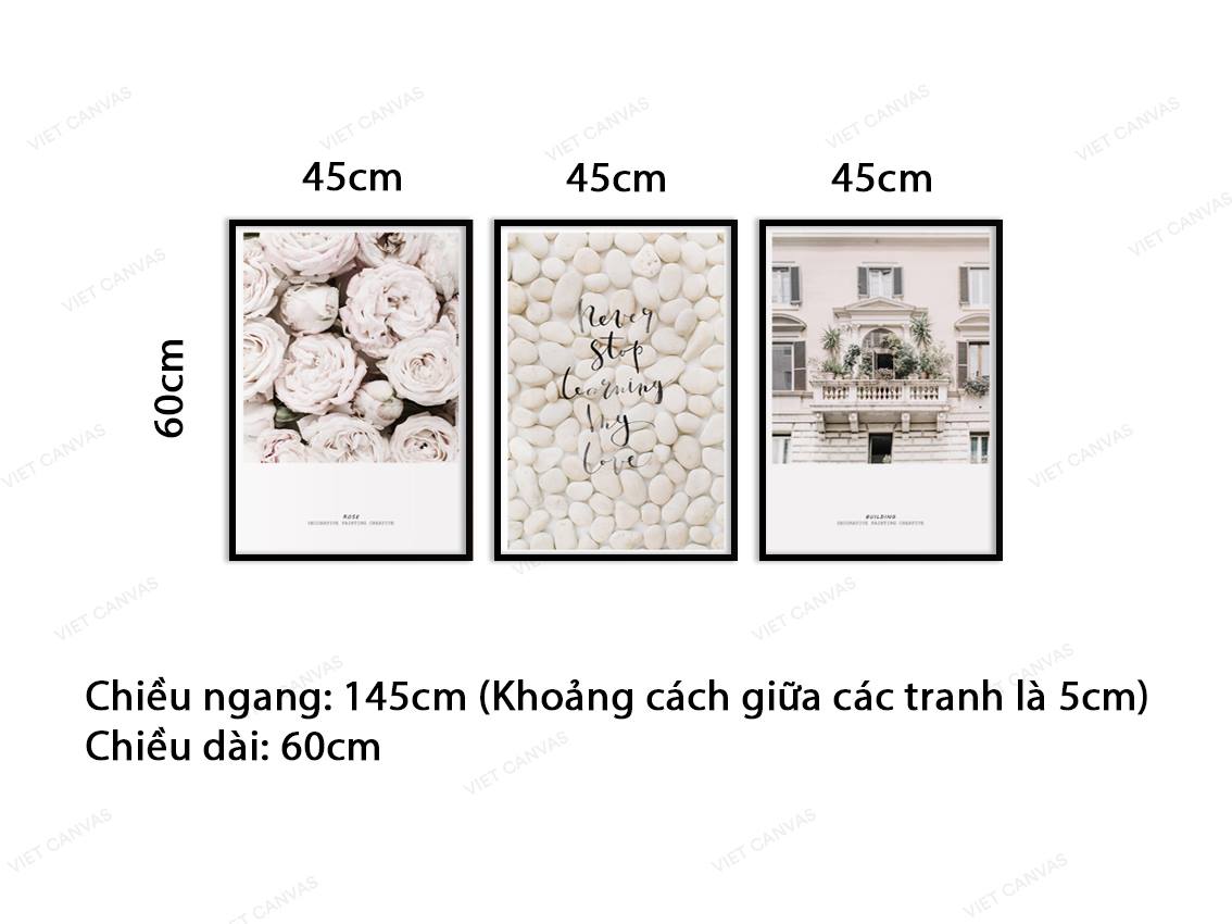 Bộ 3 Tranh Hoa Và Ngôi Nhà Nền Trắng - VY052.1