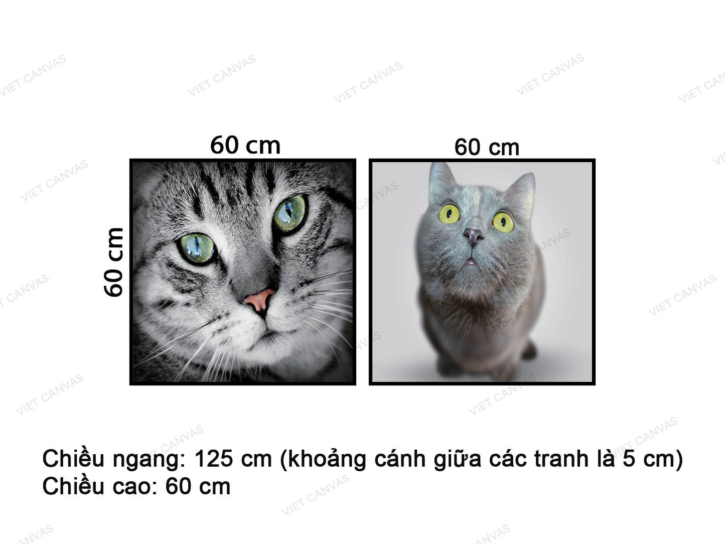 Bộ 2 Tranh Mèo Màu Xám - VC825
