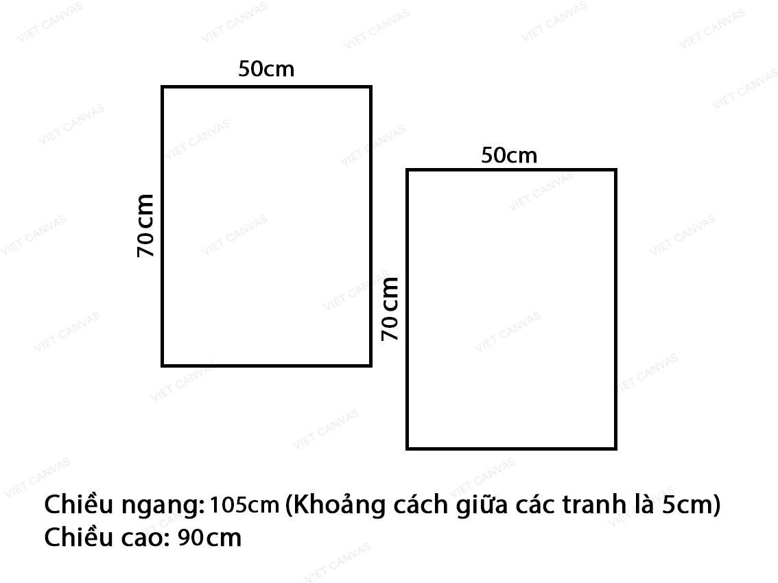 Bộ 2 Tranh Bông Hoa Ấn Tượng - VZ635.4