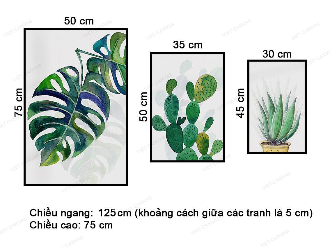 Bộ 3 Tranh Lá Và Cây Xương Rồng - VZ219.2