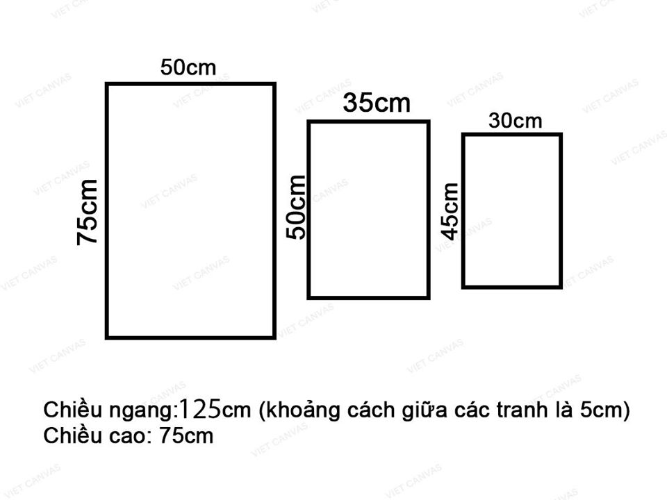 Bộ 3 Tranh Cây Hoa, Chậu Lá Và Nhánh Xương Rồng - VZ906.3