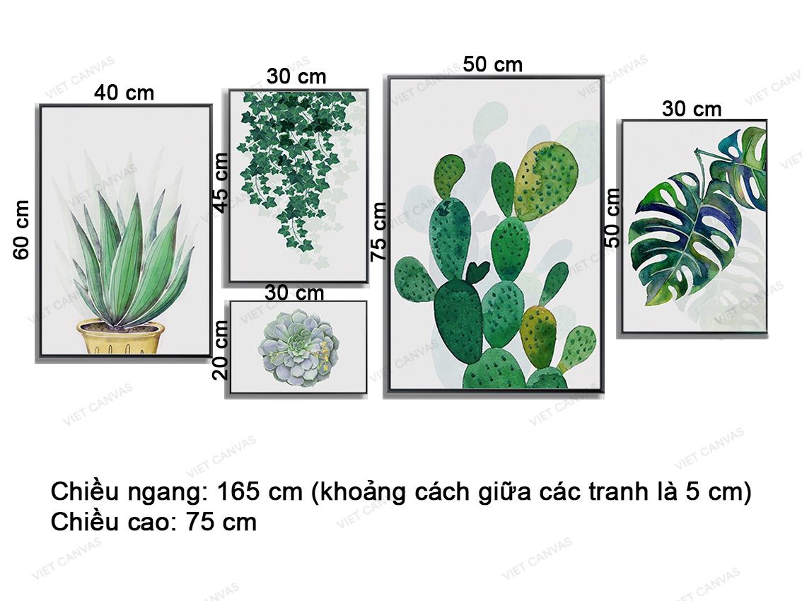 Bộ 5 Tranh Lá Cây Và Xương Rồng - VZ219.1