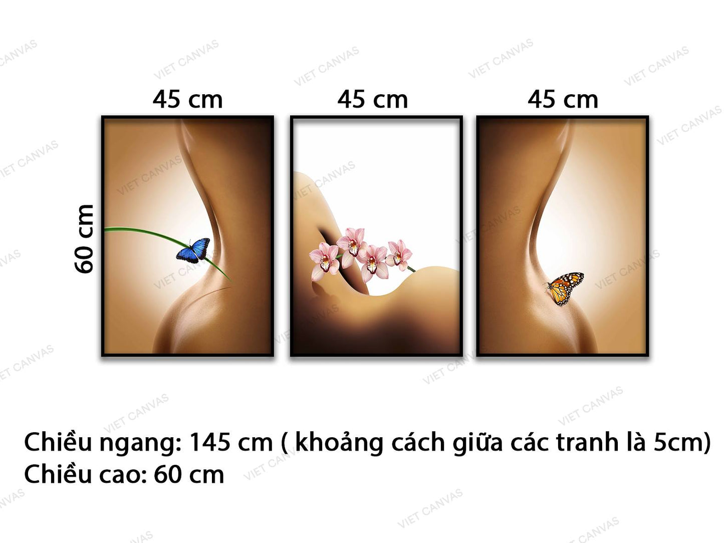 Bộ 3 Tranh Vẻ Đẹp Quyến Rũ Của Hoa Và Bướm - VD183