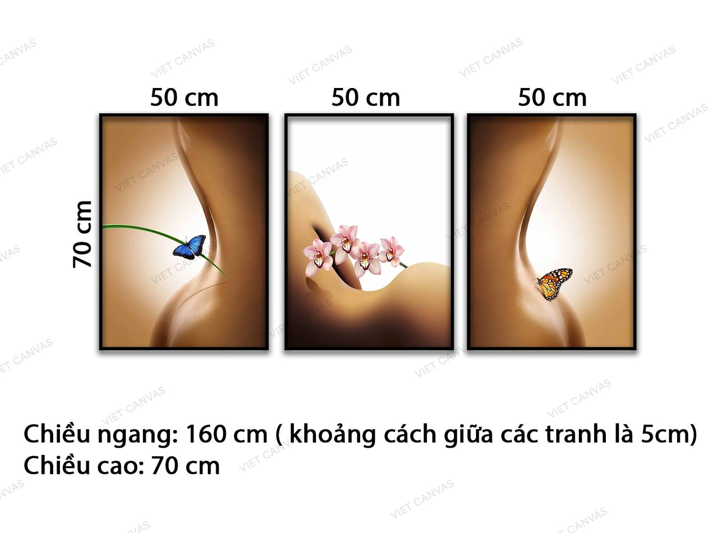 Bộ 3 Tranh Vẻ Đẹp Quyến Rũ Của Hoa Và Bướm - VD183