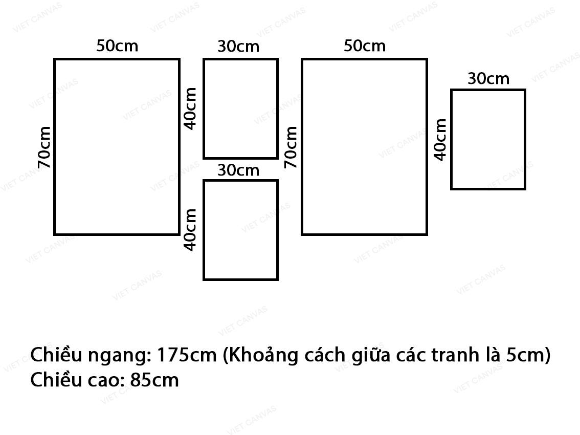 Bộ 5 Tranh Bông Hoa Hồng Nhẹ Nhàng - VZ664.2