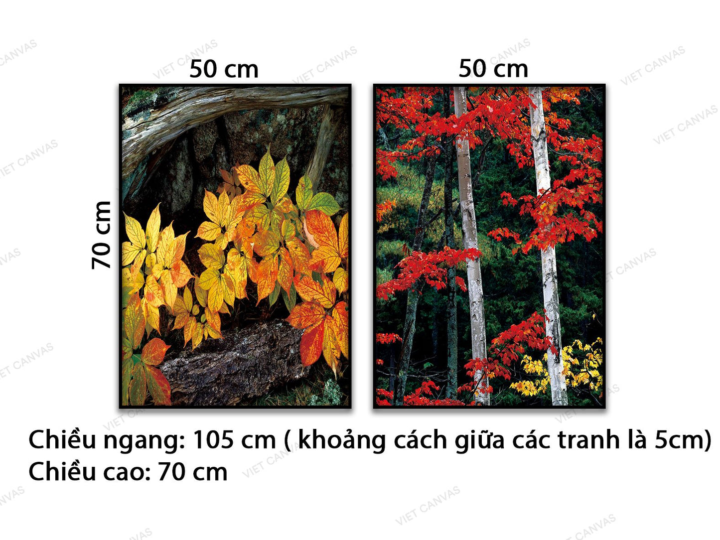 Bộ 2 Tranh Vẻ Đẹp Của Khu Rừng - VD477