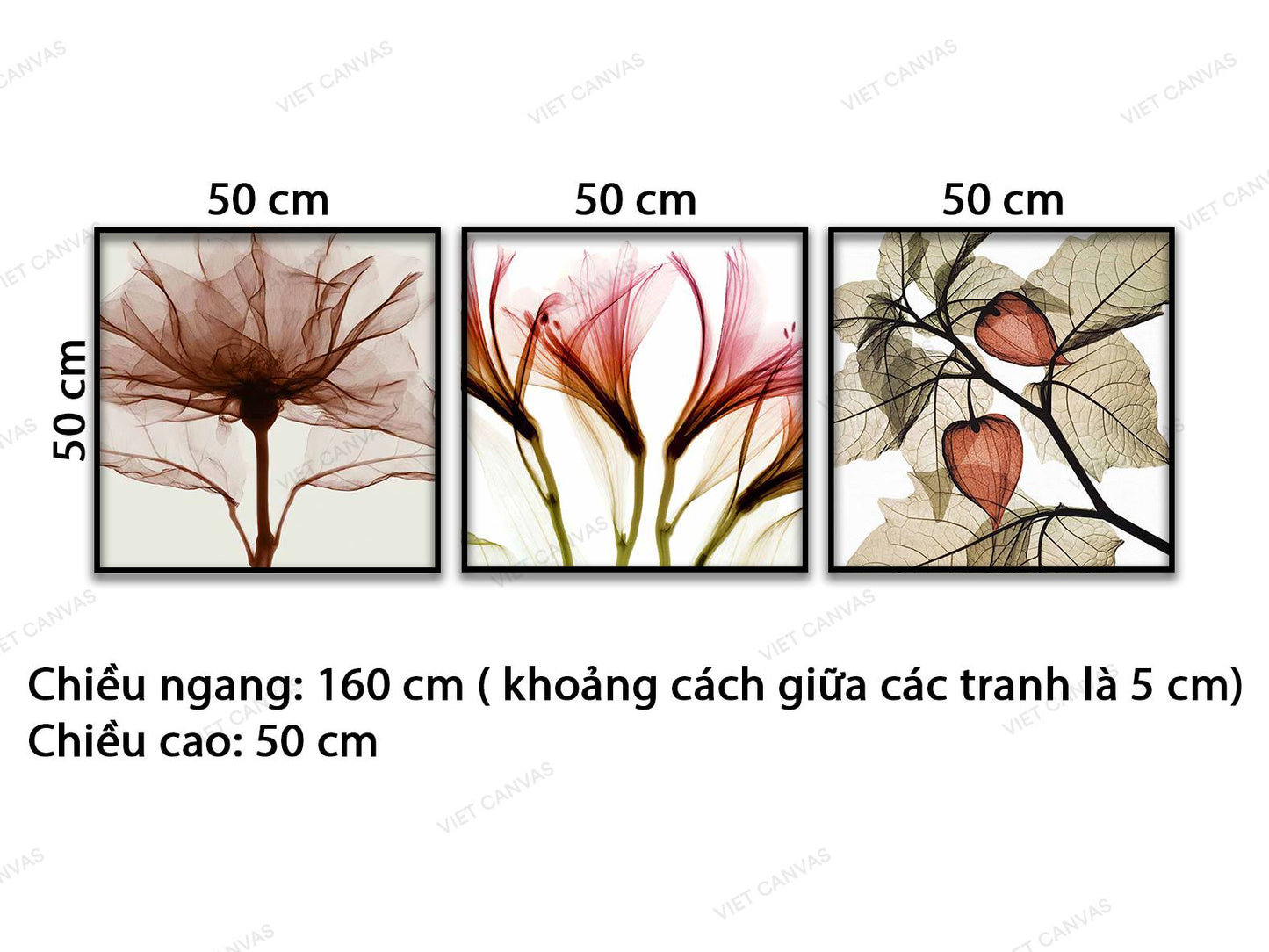 Bộ 3 Tranh Hoa Nghệ Thuật - VD179