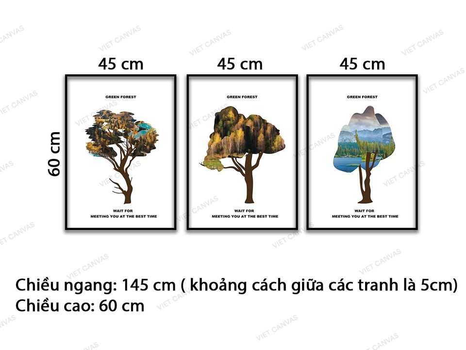 Bộ 3 Tranh Dưới Ánh Nhìn Tán Cây - VD082