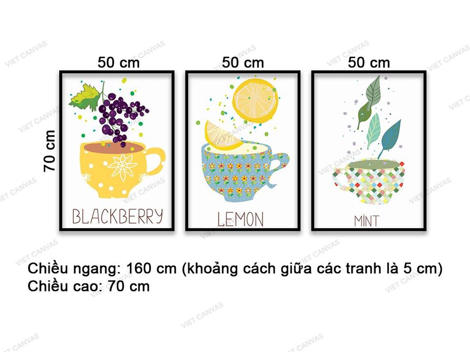 Bộ 3 Tranh Thức Uống Trái Cây - VD172