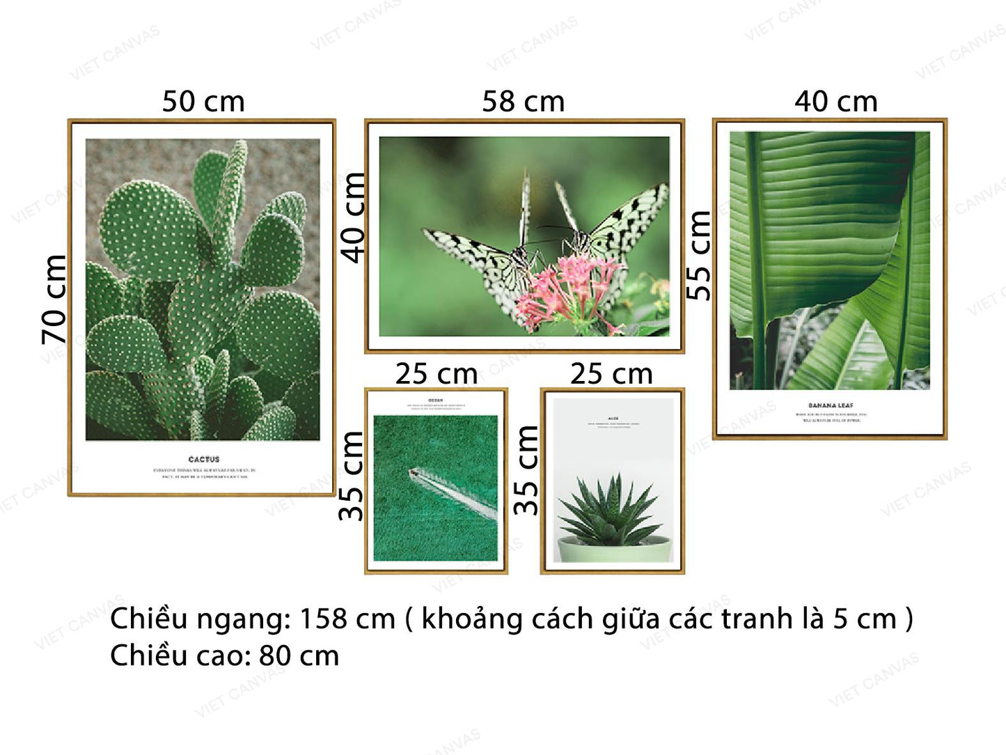 Bộ 5 Tranh Lá Cây Xanh Tốt - VK221