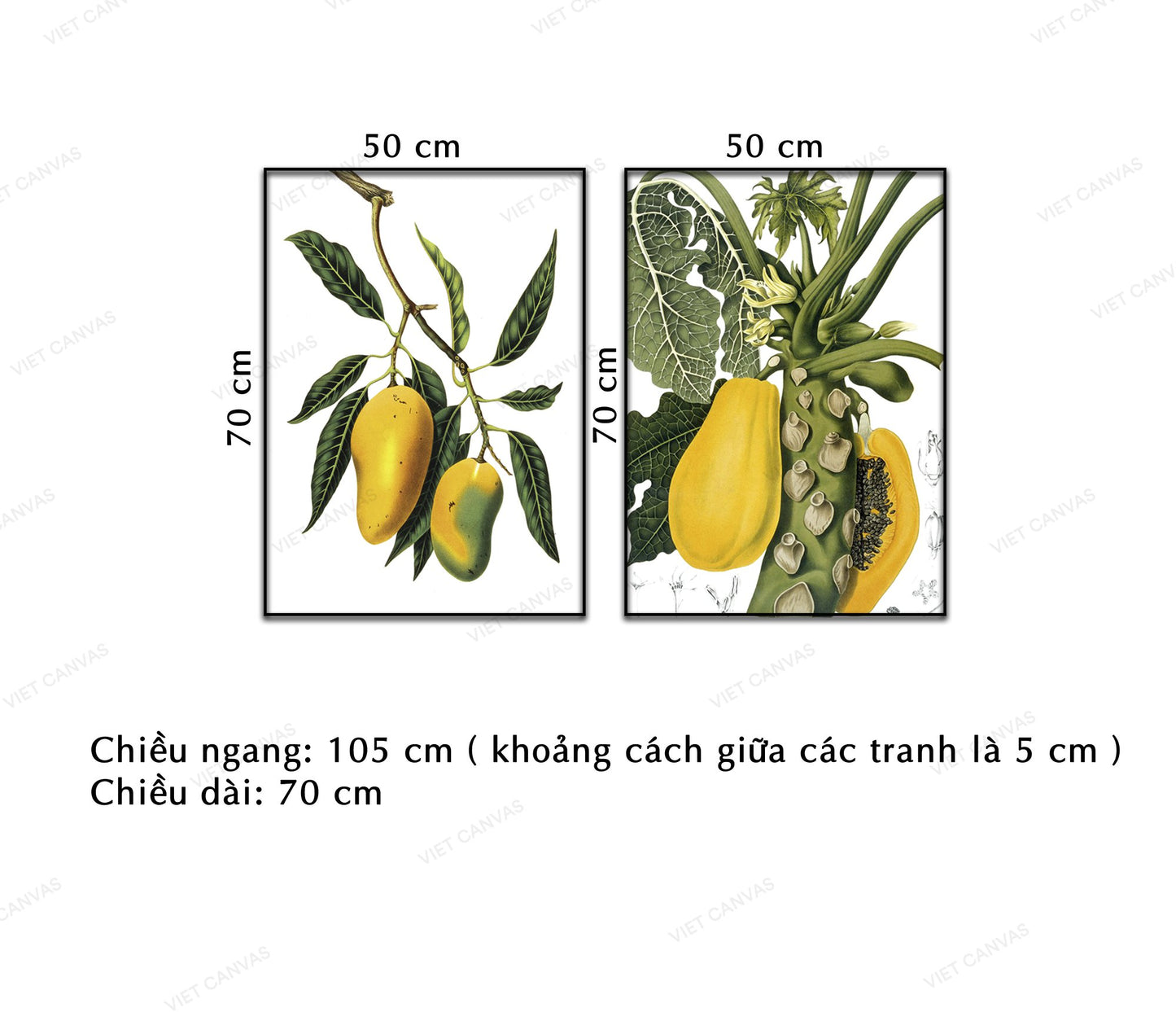 Bộ 2 Tranh Cây Đu Đủ Và Nhành Xoài - NT395