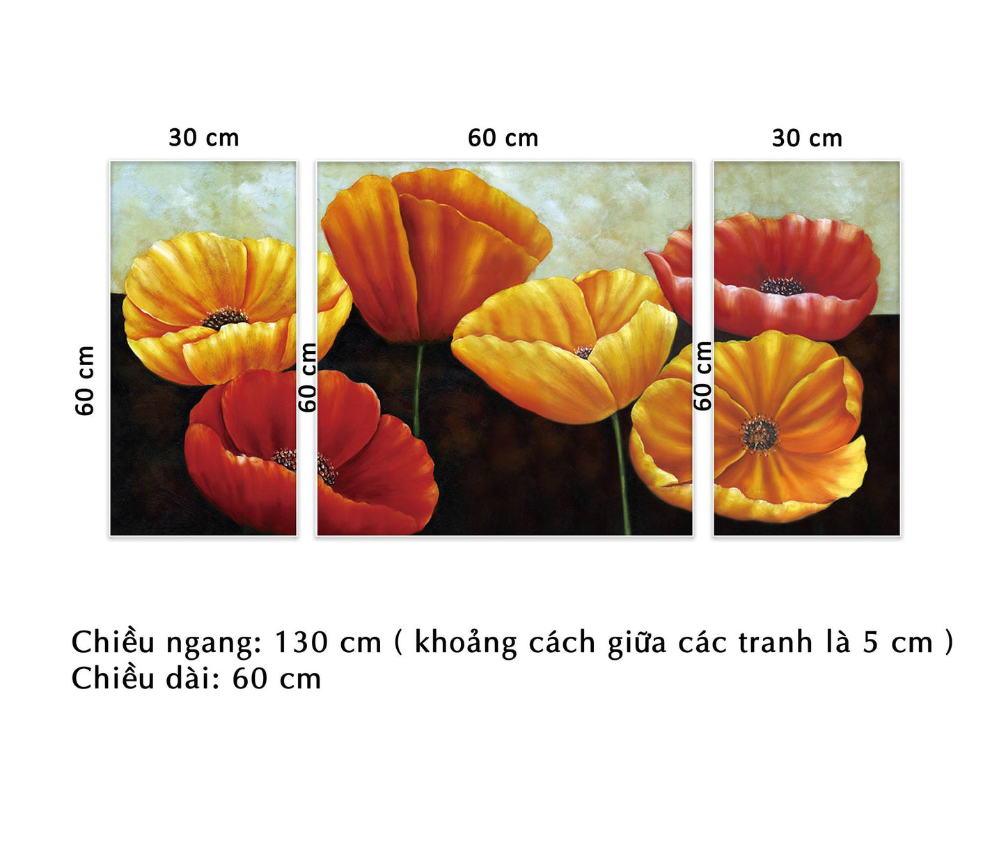 Bộ 3 Tranh Cánh Hoa Tulip - HD938