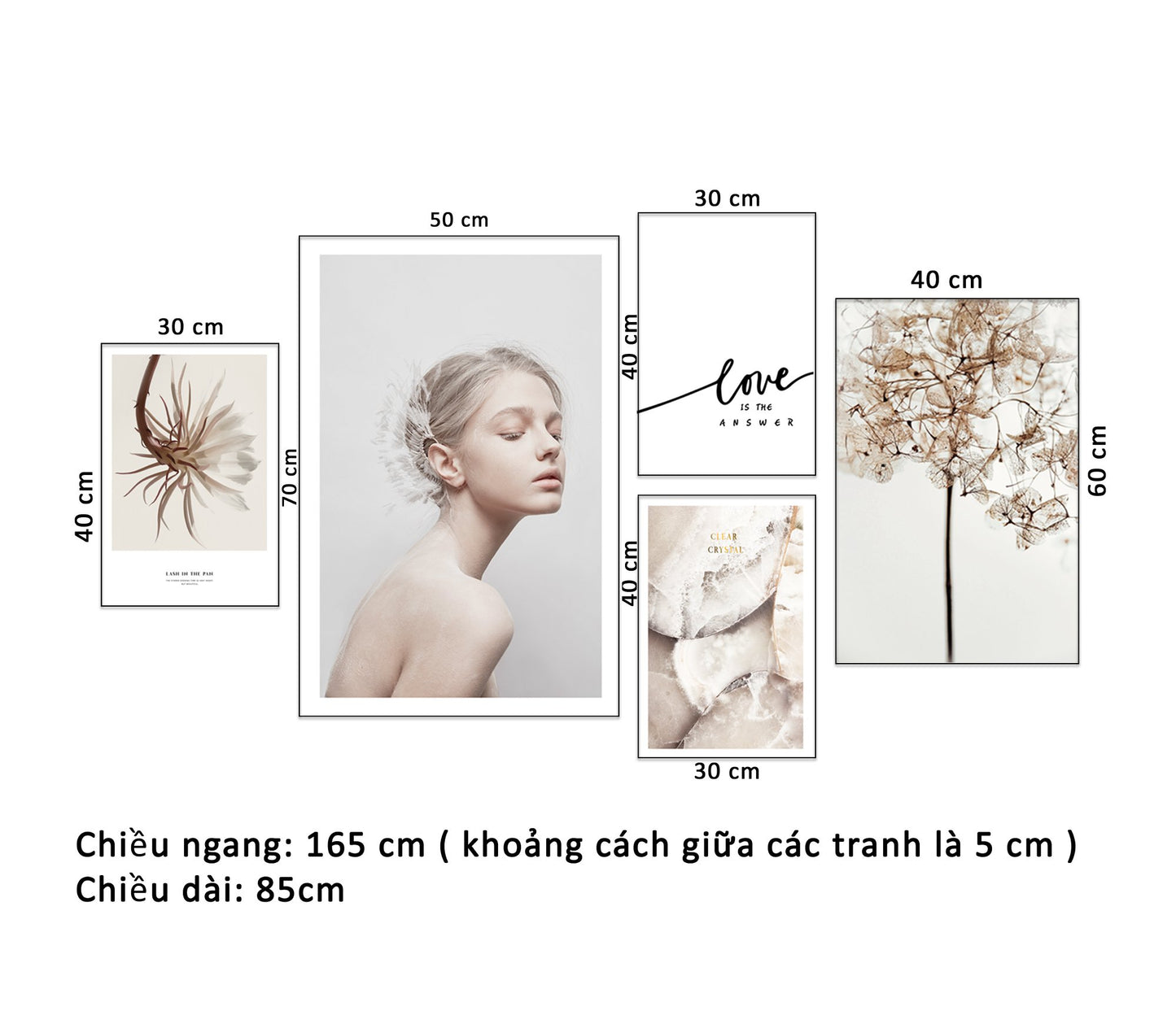 Bộ 5 Tranh Cô Gái, Cây Hoa Và Quotes - HD937