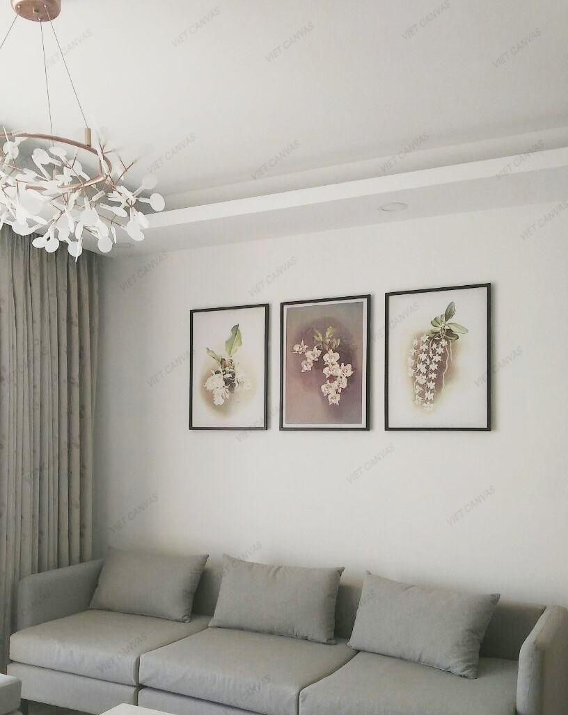 Bộ 3 Tranh Phong Lan Trên Cây Gỗ - HD09